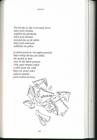 Náhled Mléko a med