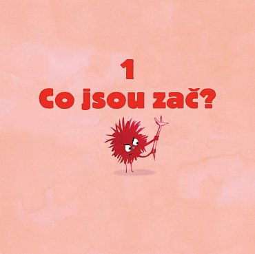 Náhled Jak bacit bacila?