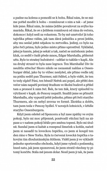 Náhled Kdo chytá v žitě