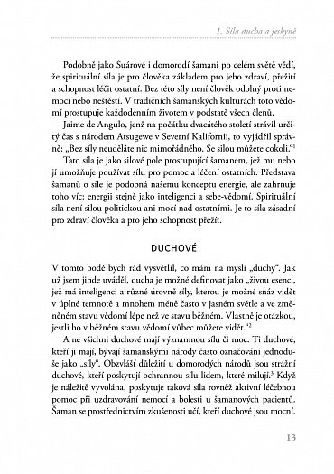 Náhled Jeskyně a kosmos - Šamanská setkání s jinou realitou