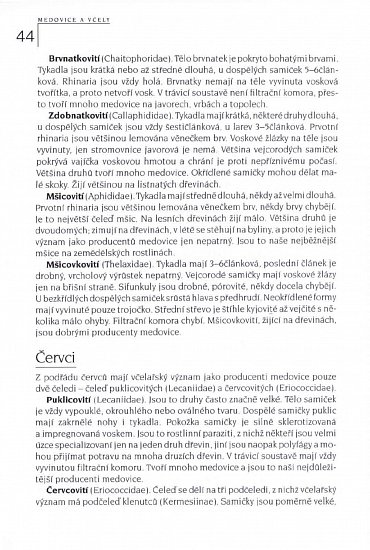 Náhled Medovice a včely