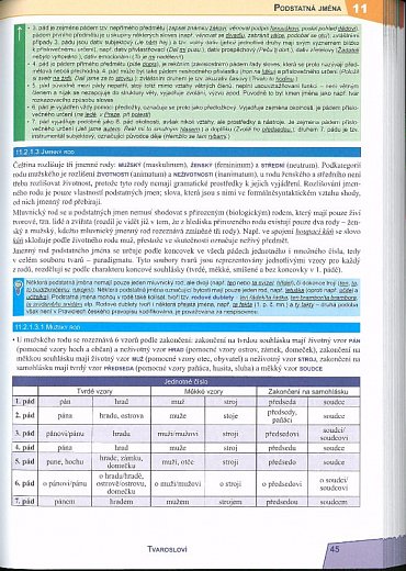 Náhled Český jazyk - přehled SŠ učiva