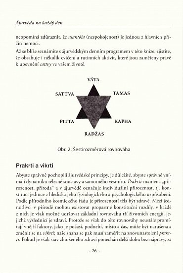 Náhled Ájurvéda na každý den