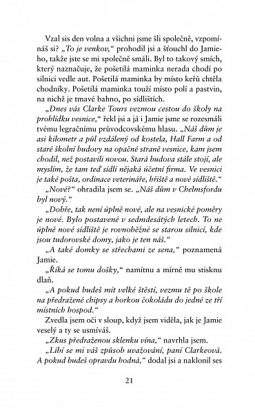 Náhled Dokonalá zrada