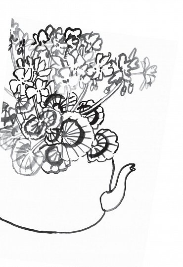 Náhled Milá Ijeawele aneb Feministický manifest v patnácti doporučeních