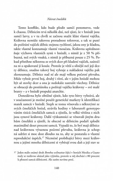 Náhled Návrat čmeláků - O životě, poslání a důležitosti čmeláků