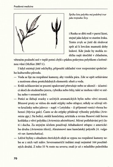 Náhled Pradávná medicína - Kořeny medicíny z dávné minulosti