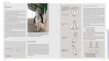 Náhled Akademické jezdecké umění