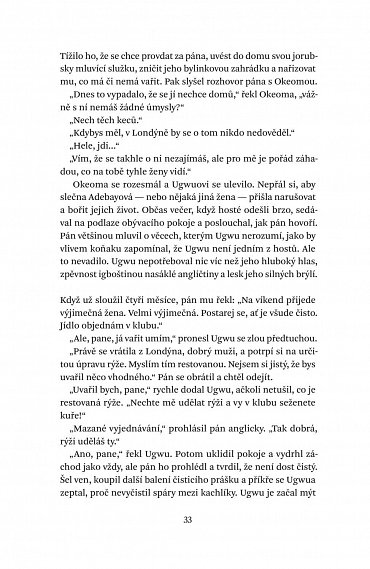 Náhled Půl žlutého slunce, 2.  vydání