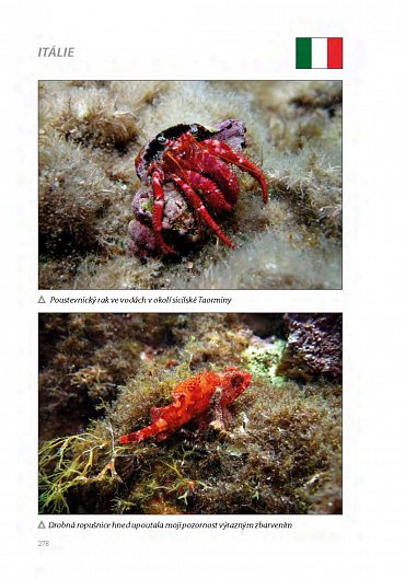 Náhled Pontos - Zápisky z vodní říše