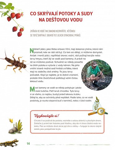 Náhled Víš, kde bydlí zvířata? - Poznáváme život na loukách a v lesích