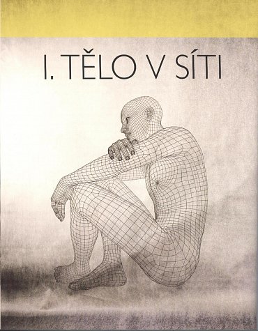 Náhled Blackroll - Posilování, strečink, automasáž s pěnovým válcem