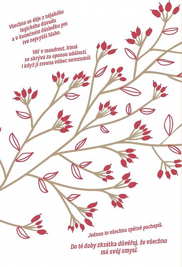 Náhled Motivační deník s afirmacemi Jana Menděla