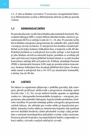 Náhled Šestinedělí