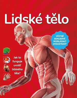 Lidské tělo - Jak to funguje uvnitř lidského těla?