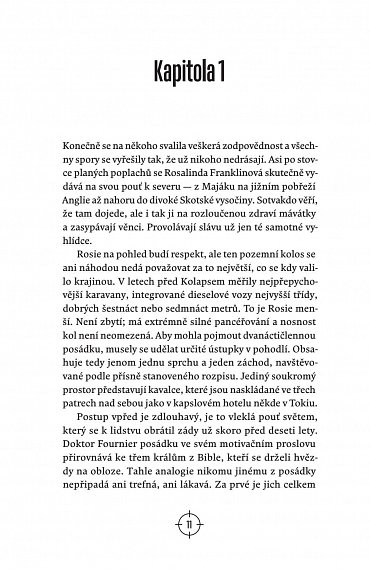 Náhled Chlapec na mostě