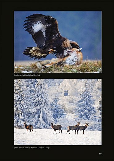 Náhled Prchavé okamžiky přírody - Fotoaparátem od jara do zimy
