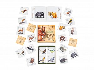 Zvukové pexeso - Hlasy lesa