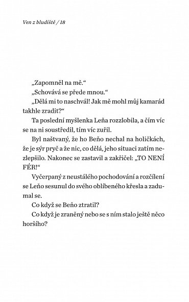 Náhled Ven z bludiště