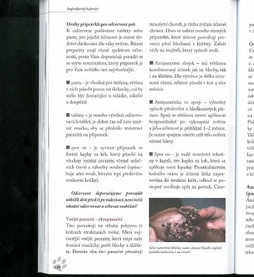 Náhled Stafordšírský bulteriér - Úplný přehled plemene