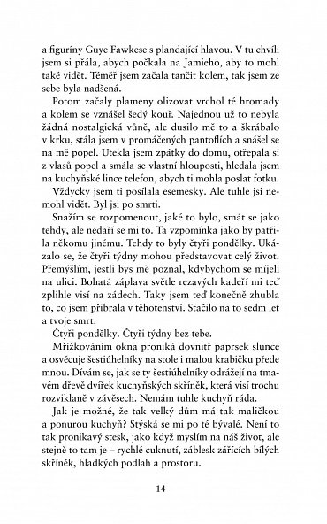 Náhled Dokonalá zrada