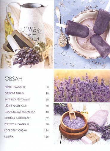 Náhled Levandule - Recepty, návody a tipy pro pěstování, výrobu domácí kosmetiky, tvoření dekorací a vaření s levandulí