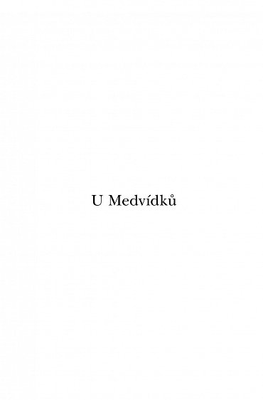 Náhled Co si pamatuju