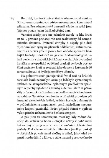 Náhled Už zase sloužím o Vánocích