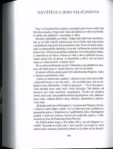 Náhled Vážka v jantaru