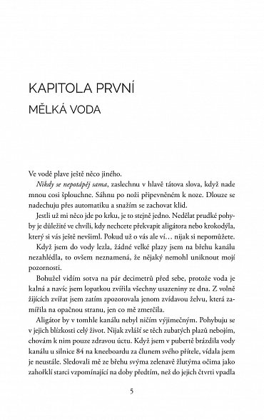 Náhled Dívka pod hladinou