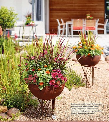 Náhled Zahrada v nádobách - Moje kvetoucí inspirace pro venek