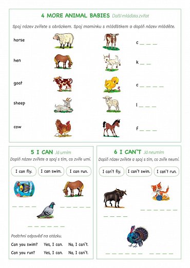 Náhled Angličtina PE-XE-SO 2. Domácí zvířata / Krabicová hra