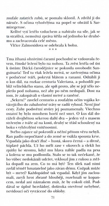 Náhled V řetězech