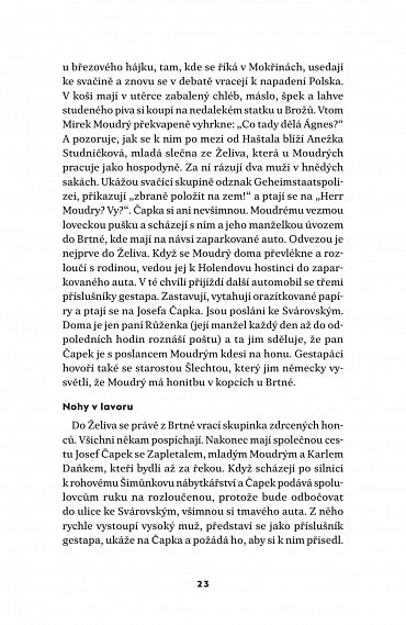 Náhled Do posledních sil - Tři dokumentární povídky z konce protektorátu