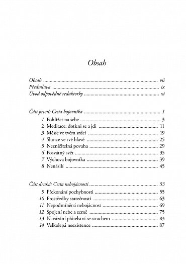 Náhled Usmívej se na strach - Probuzení skutečného srdce statečnosti