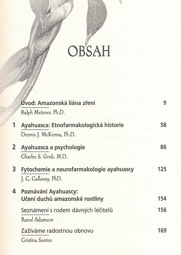 Náhled Ayahuasca jako lék - zkušenosti a léčení