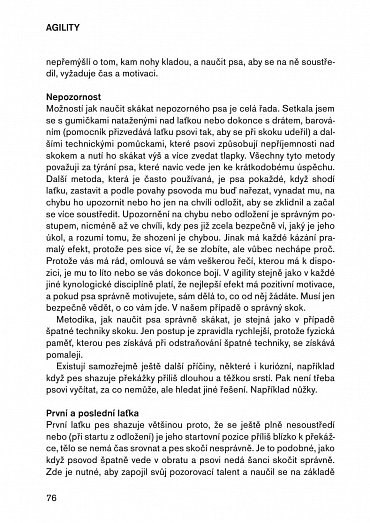 Náhled Agility pro pokročilé