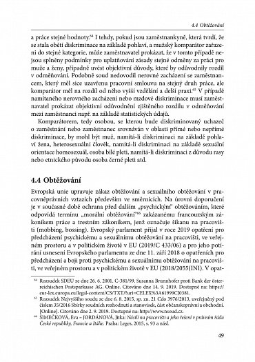 Náhled Zákaz diskriminace v pracovněprávních vztazích