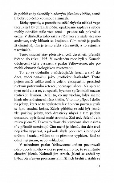 Náhled Tajná síť přírody - Jak stromy vyrábějí mraky a žížaly regulují divoká prasata