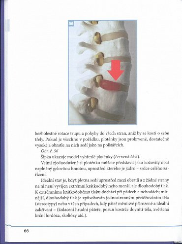 Náhled Dornova metoda i ty můžeš