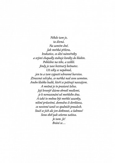 Náhled To je on! O té, co si říkala Toyen