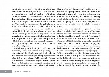 Náhled Výcvik psů loveckých plemen