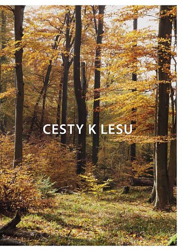 Náhled Můj první les - Trvale udržitelné a přirozené lesní hospodářství