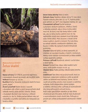 Náhled Suchozemské želvy - Svědkové pravěku v domácím teráriu