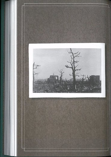 Náhled Sirotčinec slečny Peregrinové - Knihovna duší