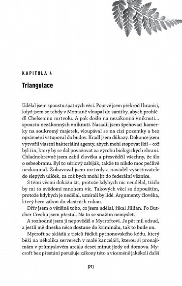 Náhled Temný vzorec