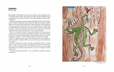 Náhled Mlsná štika a jiné příběhy