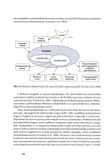 Náhled Panická porucha