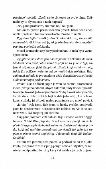 Náhled Kdo chytá v žitě