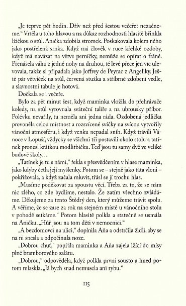 Náhled Střípek nebe